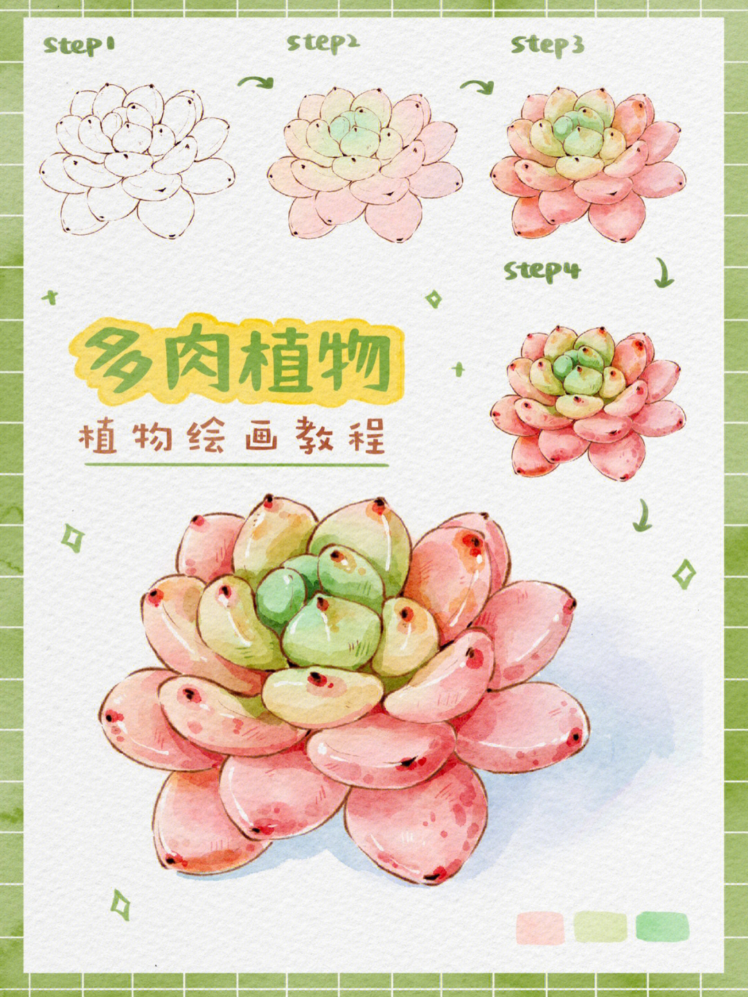 ipad水彩多肉植物绘画教程