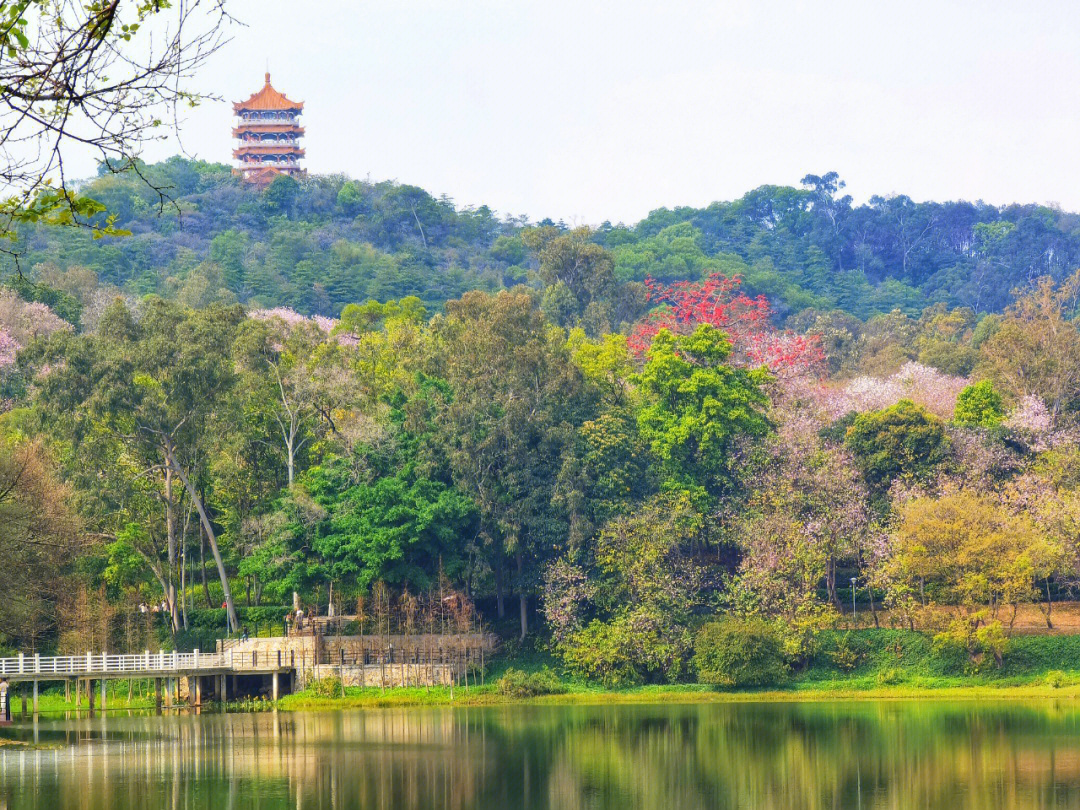 主要景点有聚芳园,儿童游乐园,星海园,白云仙馆,高尔夫场,鹿鸣酒家