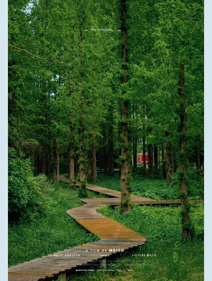 绿光森林取景地图片
