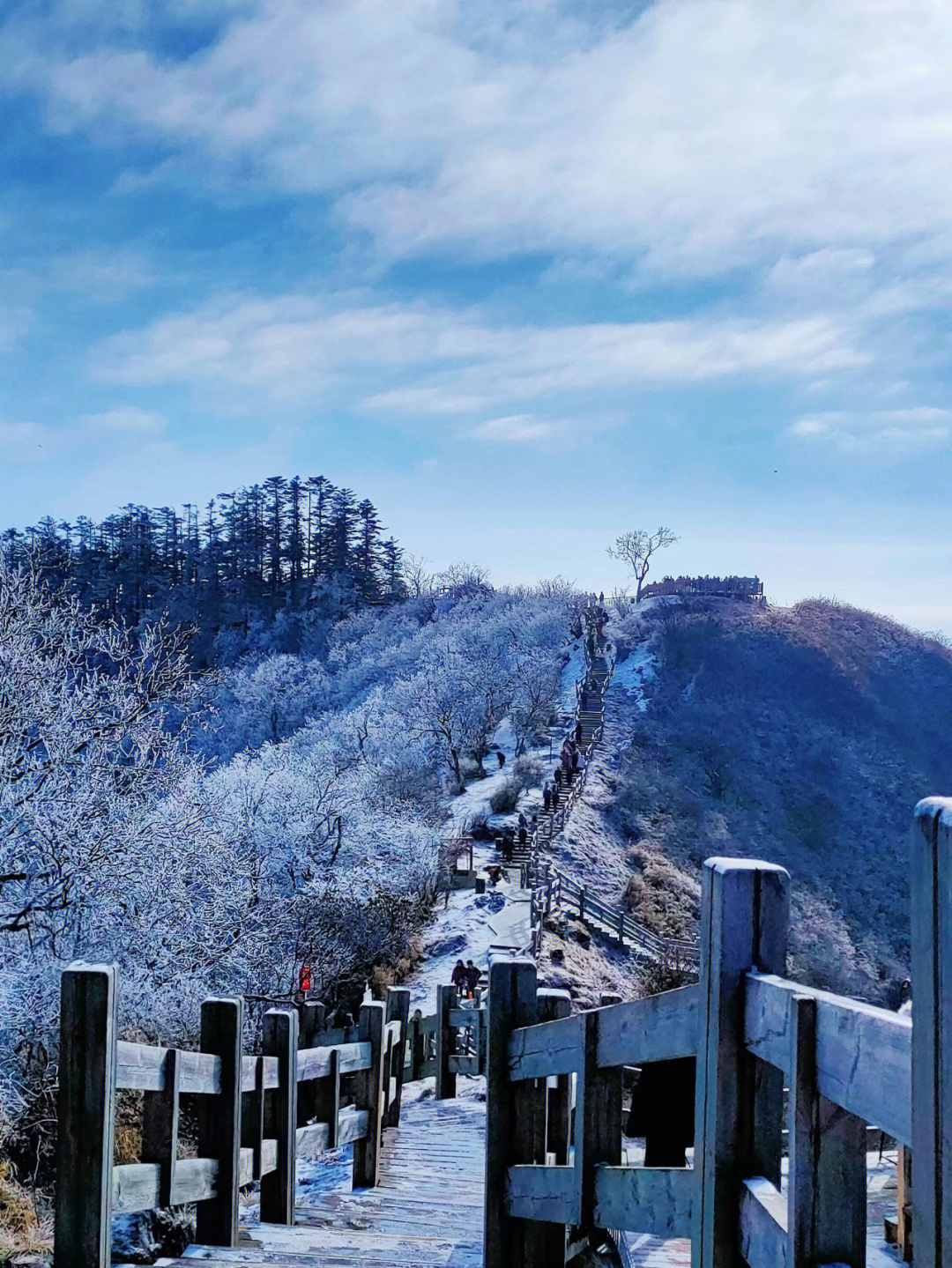 西岭雪山