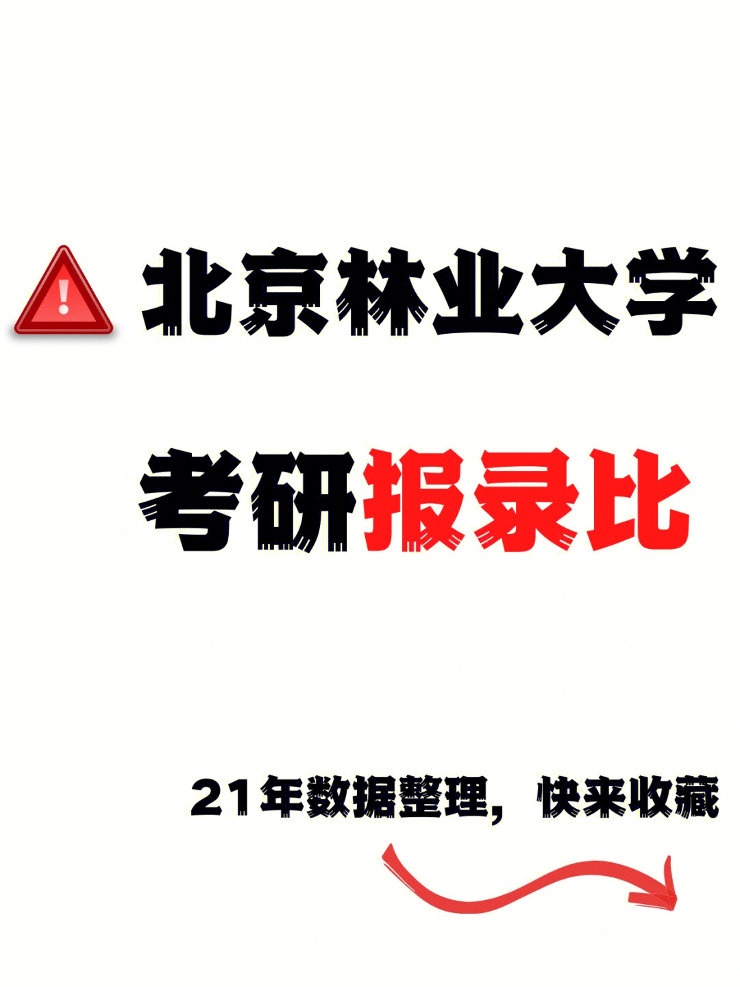 北京林业大学考研报录比