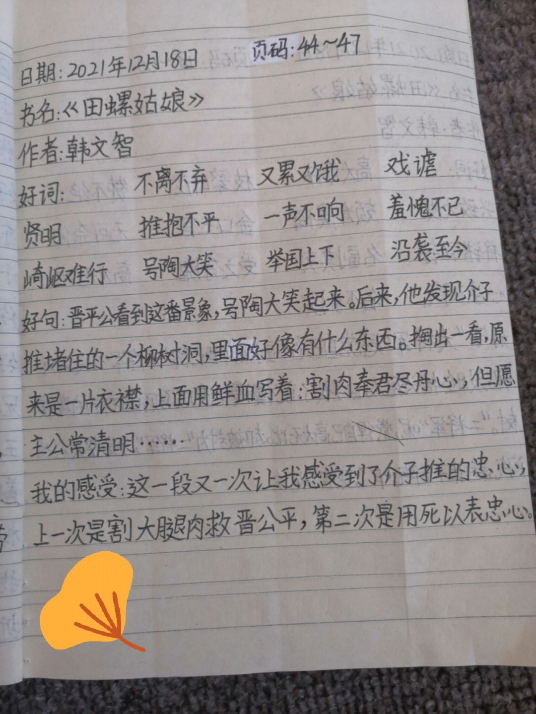 田螺姑娘读后感100字图片