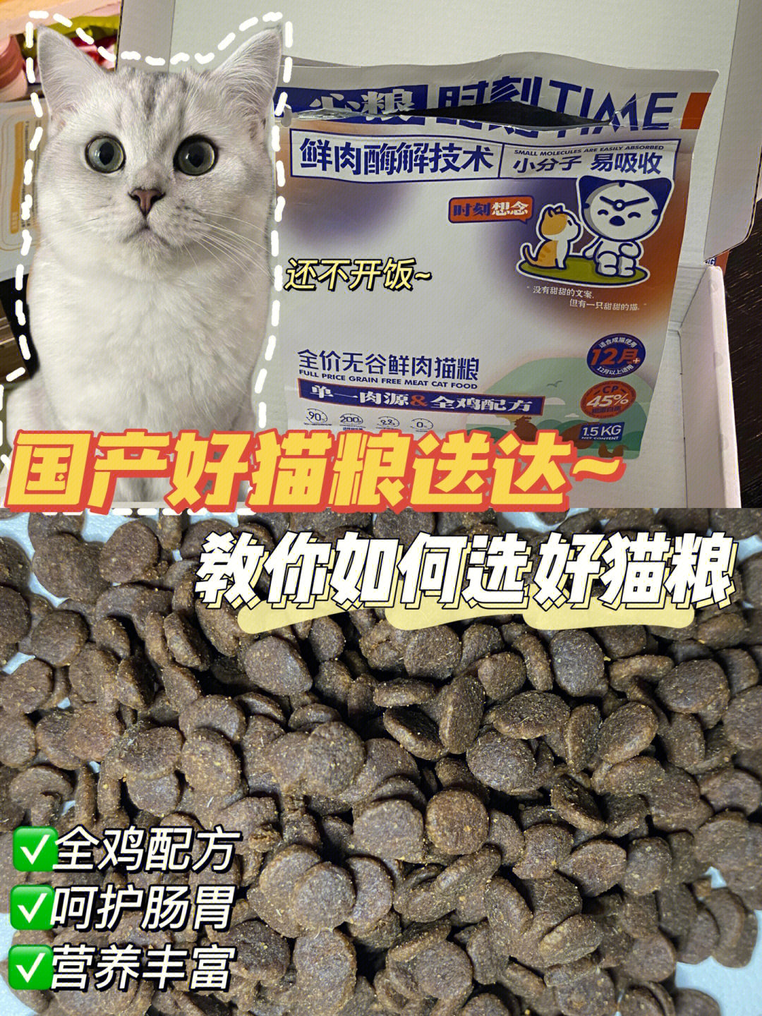 潮汕猫带官带印 图片图片