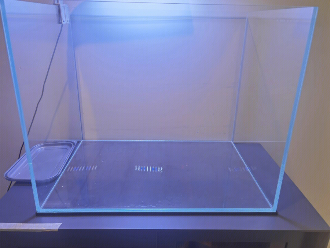 fishbowl鱼缸测试图片