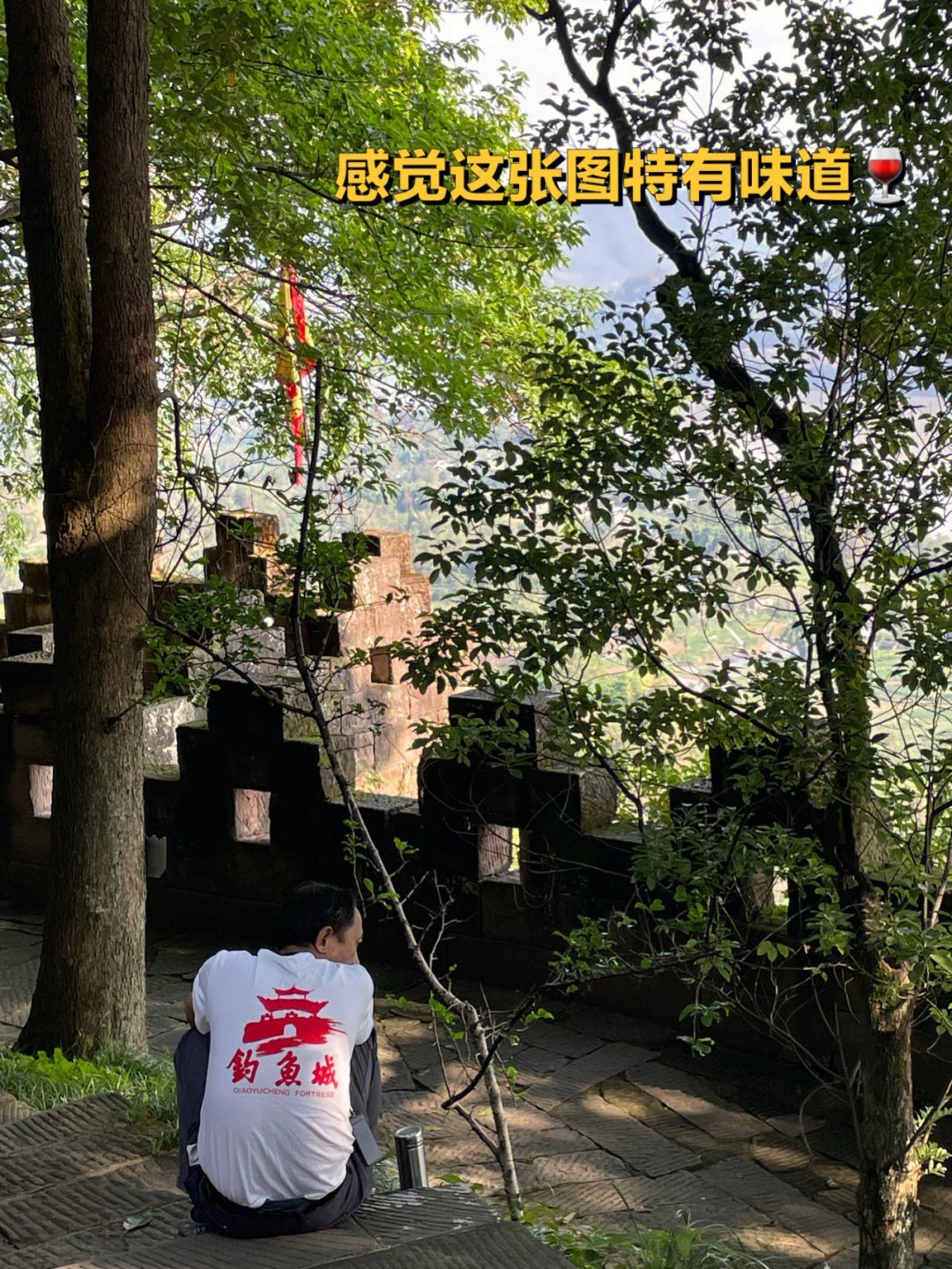 钓鱼城门票图片