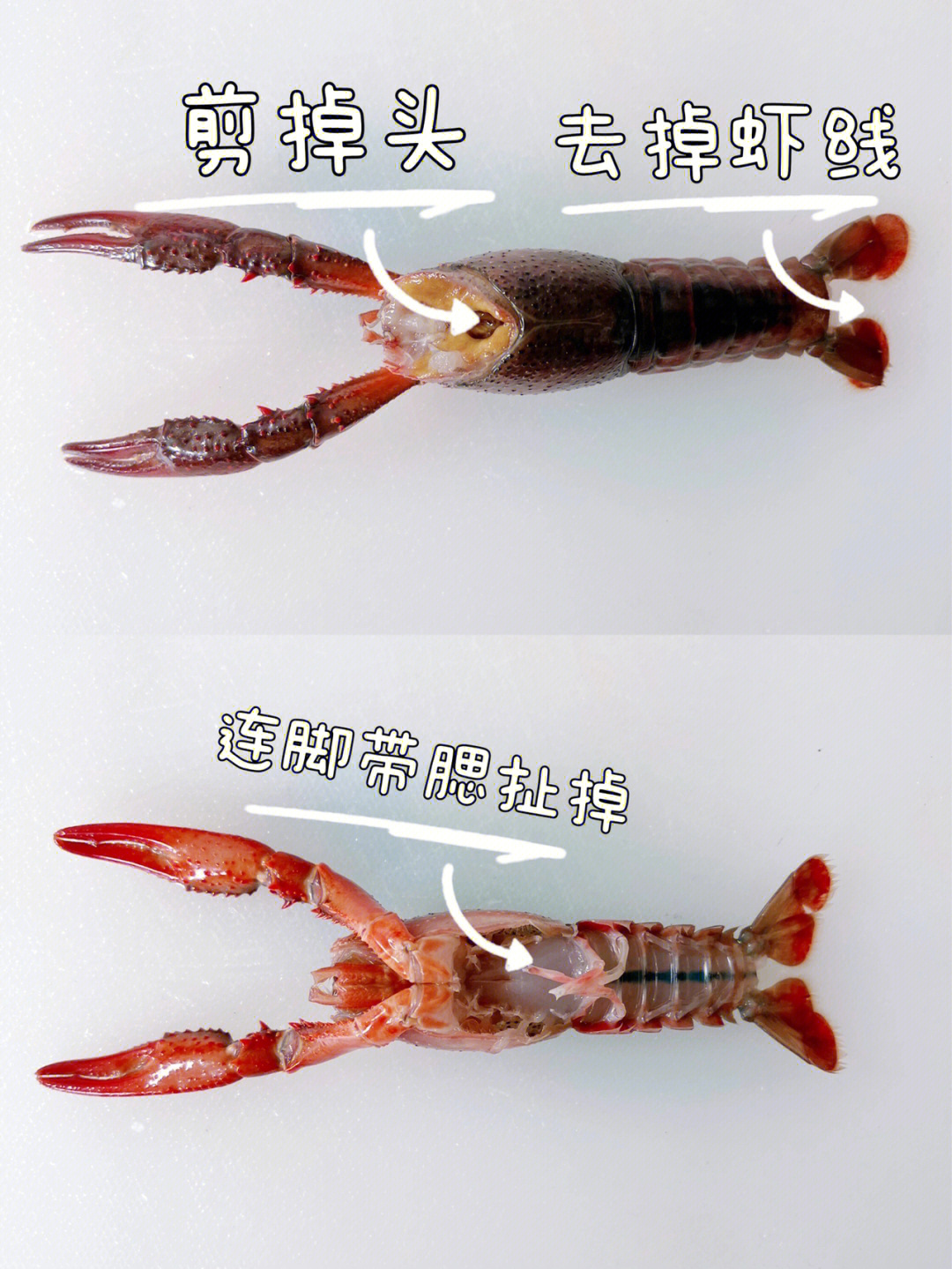 小龙虾腹部图片