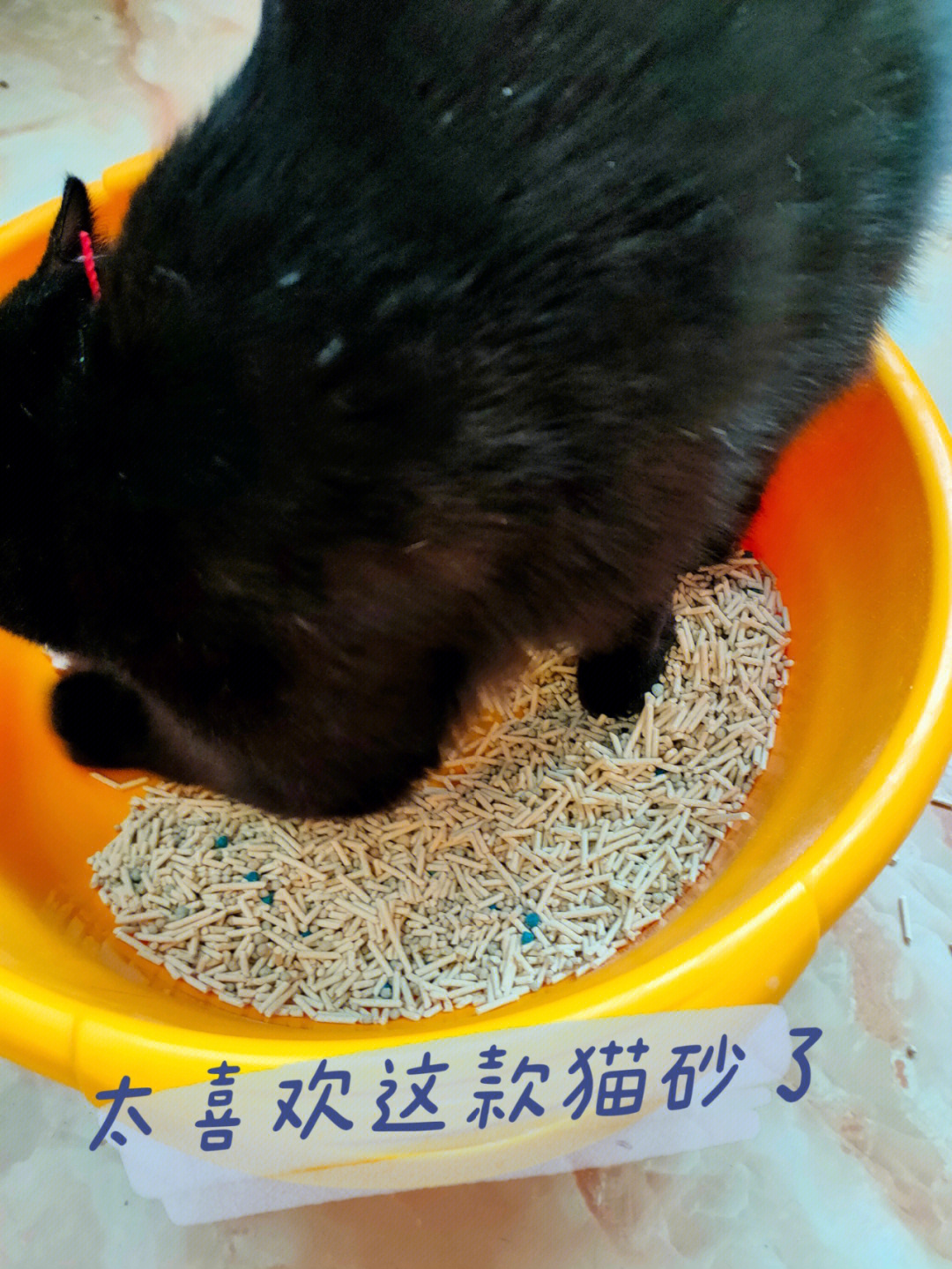 见着介个猫砂我家猫咪都玩疯啦