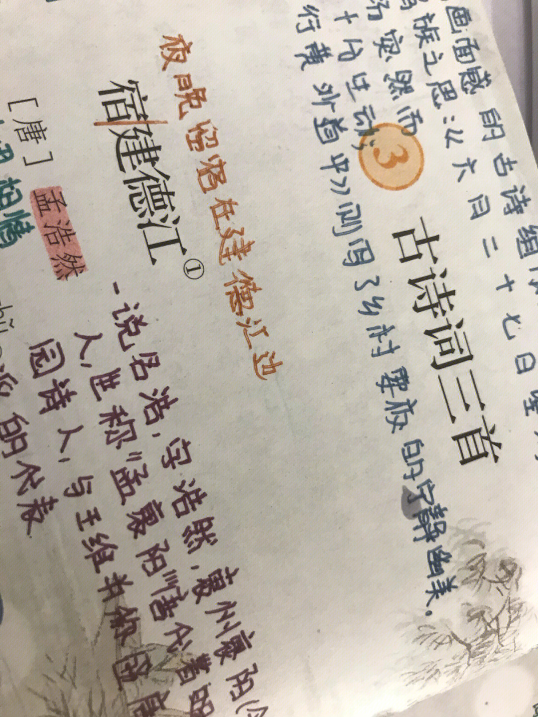 古诗三首预习笔记