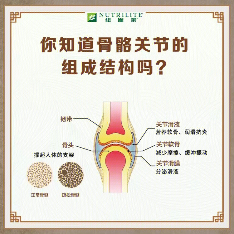 一分钟快速了解骨关节的健康知识把1 n骨关节健康方案带回家轻松补充