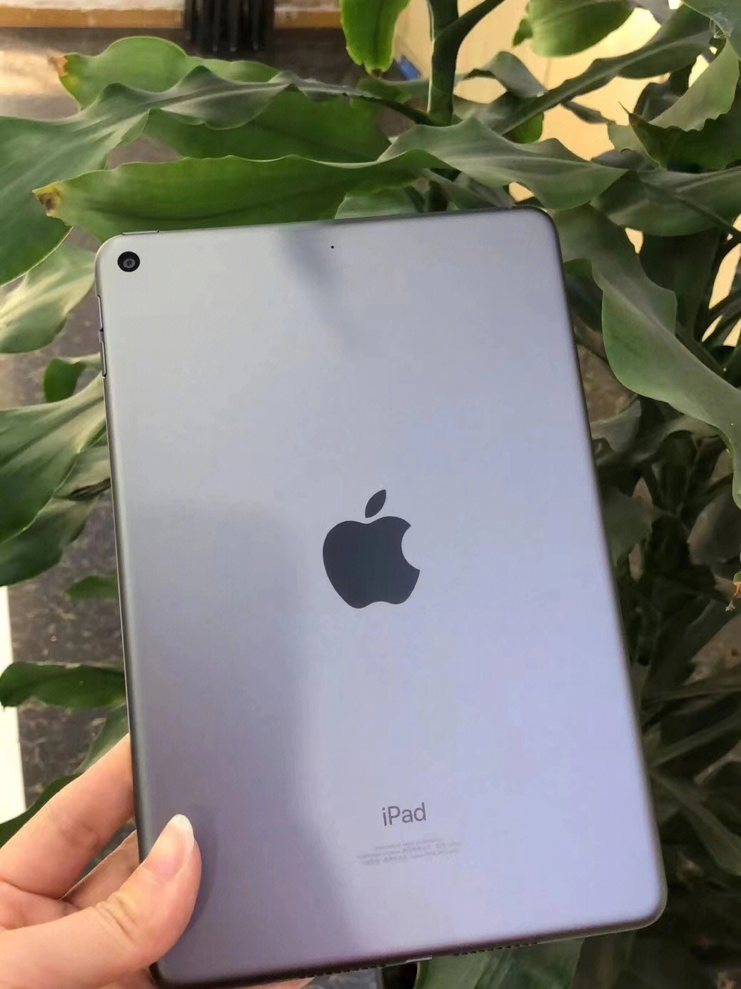 刚入手ipadmini564g国行全原成色充新