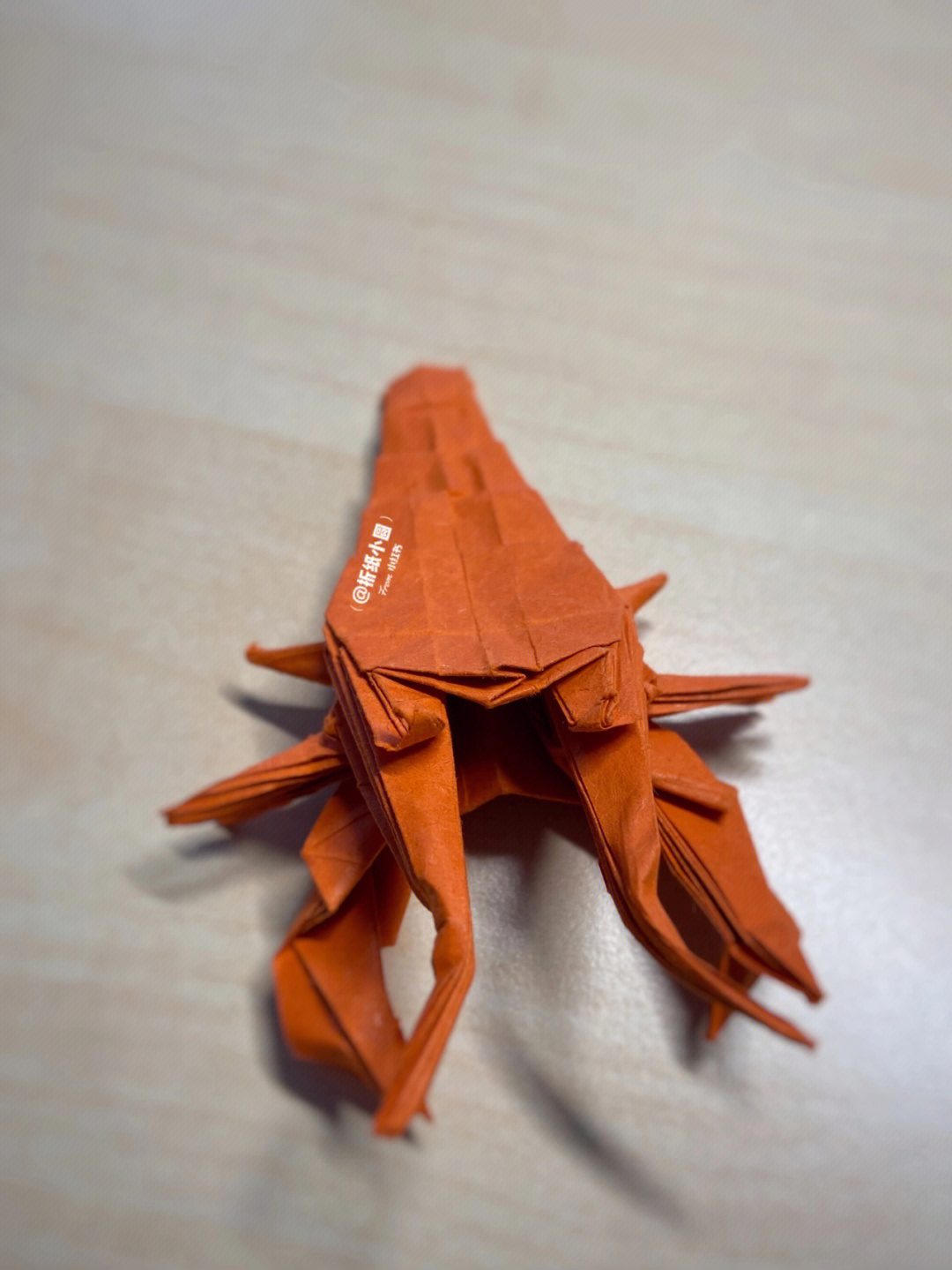 复杂折纸龙虾图片