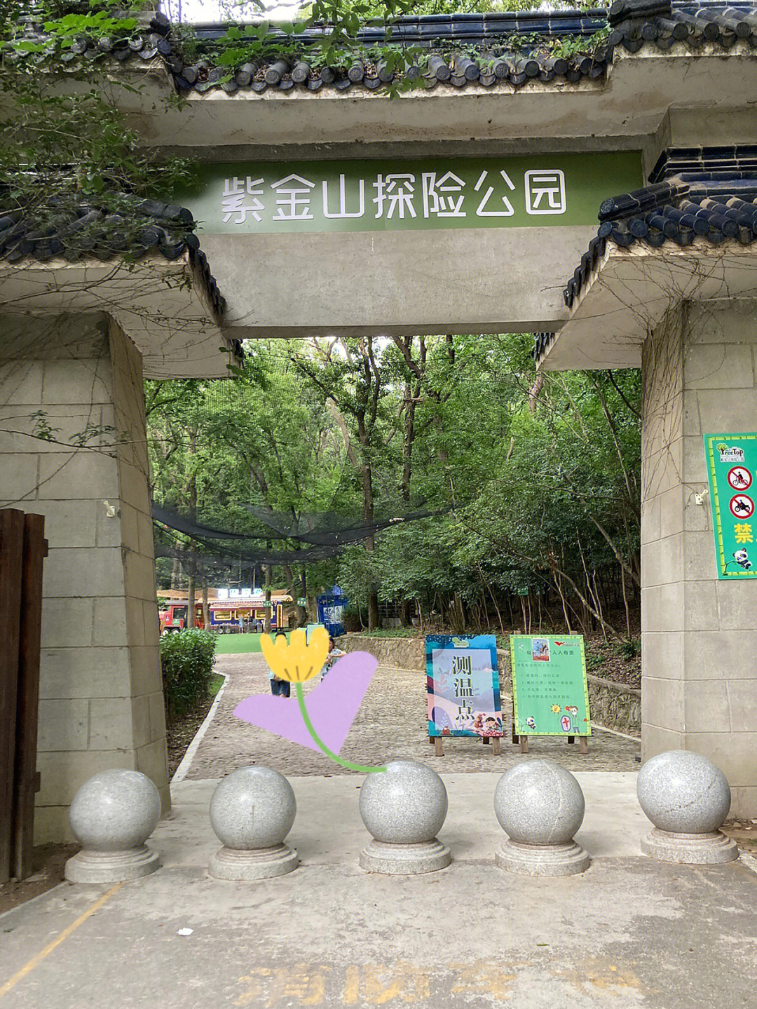 紫荆山门票图片