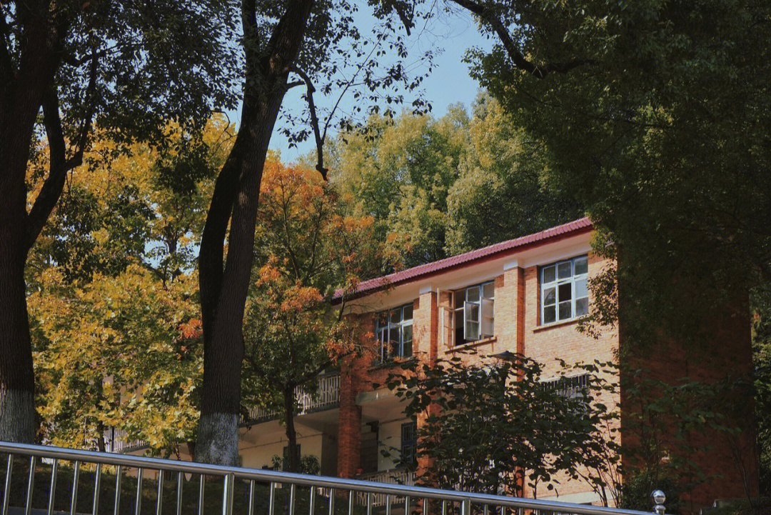 在邵阳学院的第一个秋天