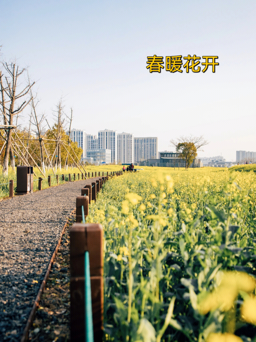 鄞州公园春暖花开