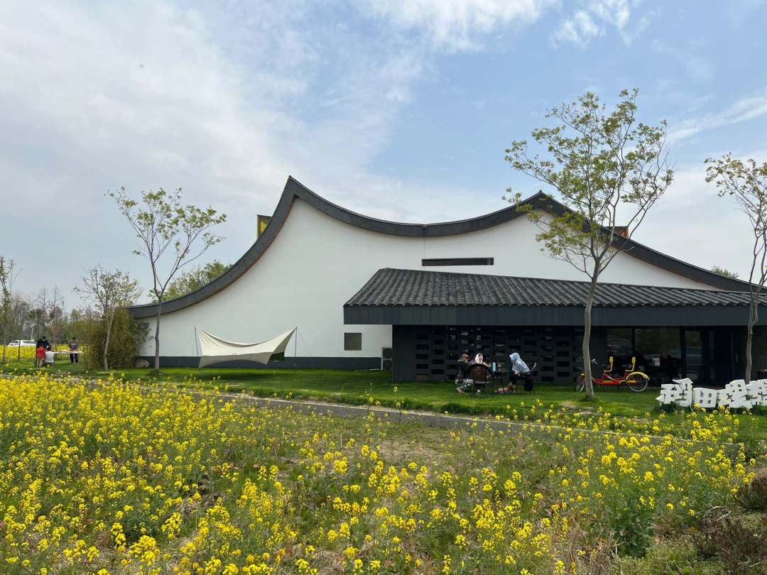 踏青赏花常州西夏墅东南村