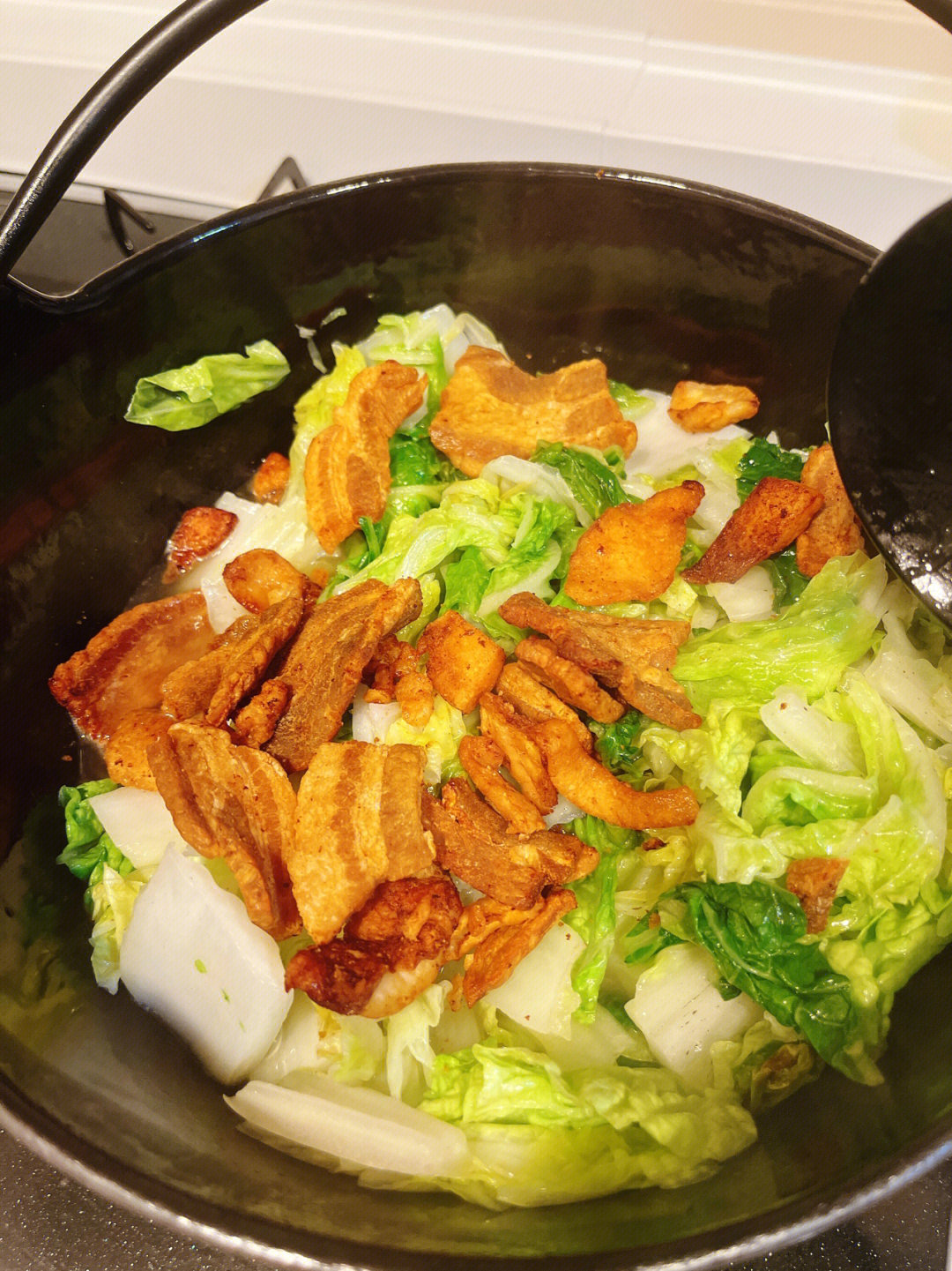 白菜豆腐炖粉条肉末茄子烤鸡脆骨