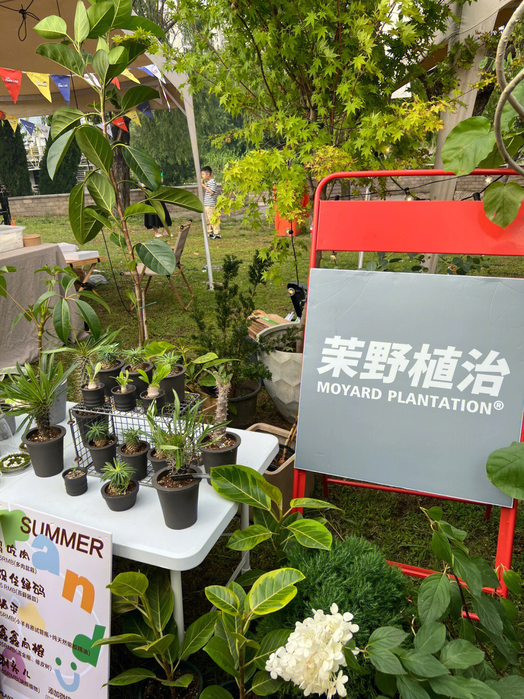 茉野植治