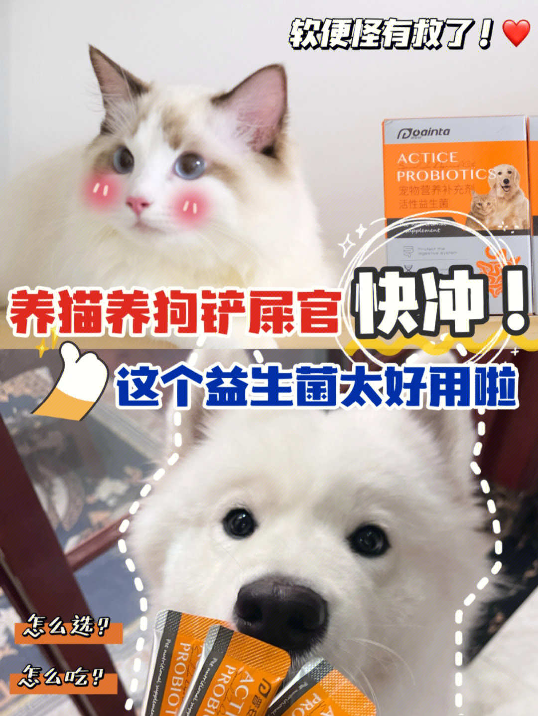 养猫养狗家庭都给我冲这宠物益生菌划算