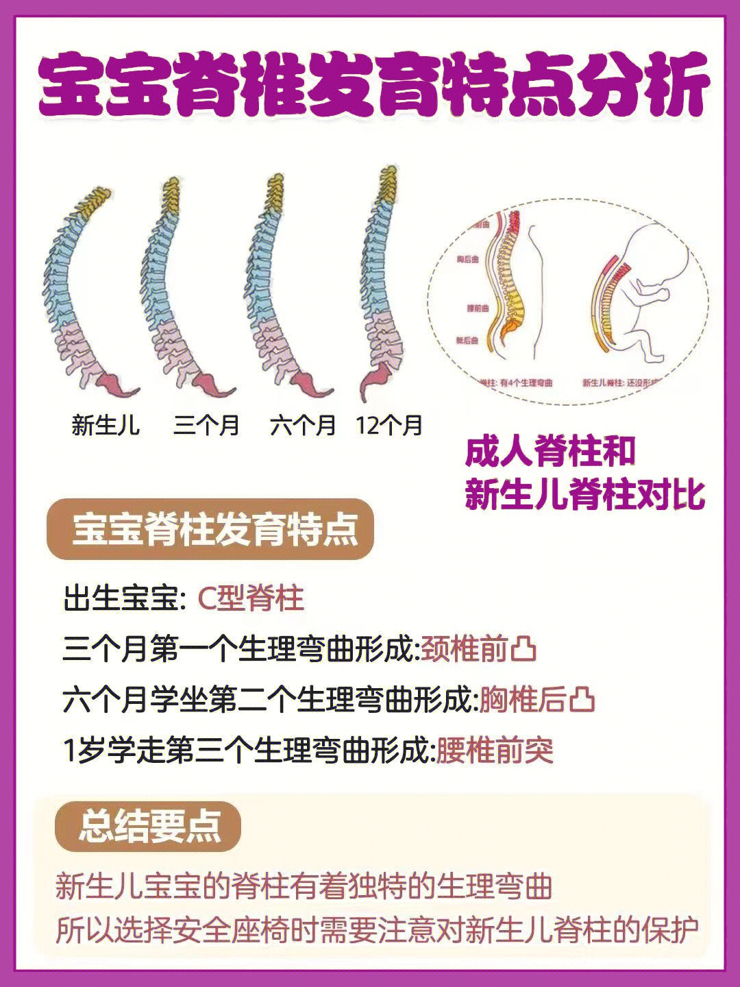 儿童脊柱发育过程图解图片