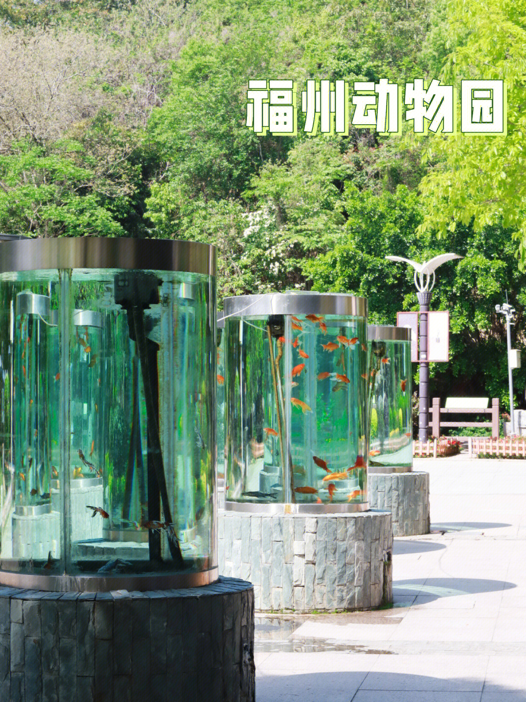 福州野生动物园地址图片