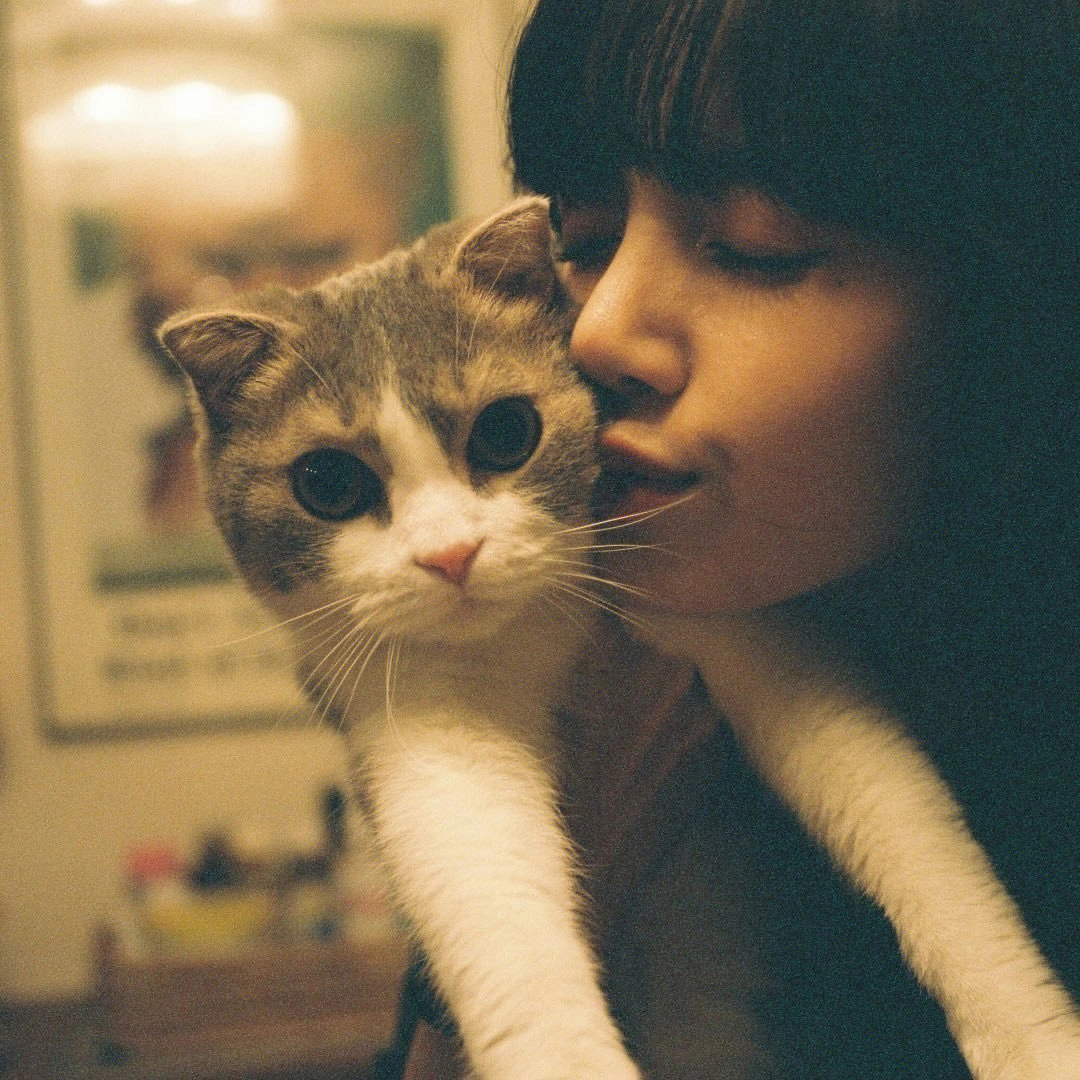 lisa与猫合照图片
