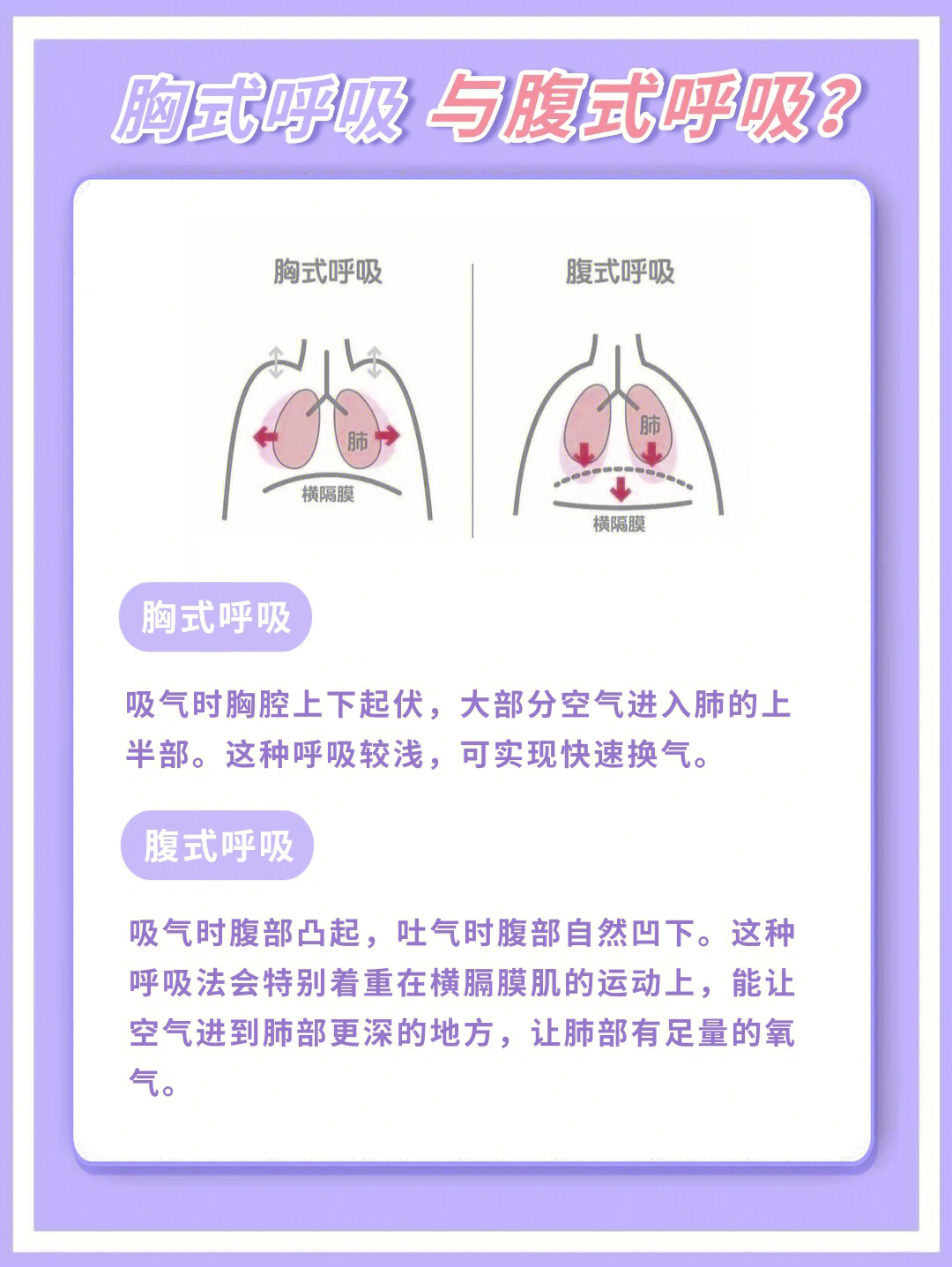 胸腹联合呼吸法图片