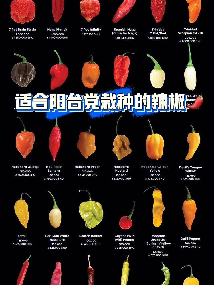 中国辣椒品种大全图片