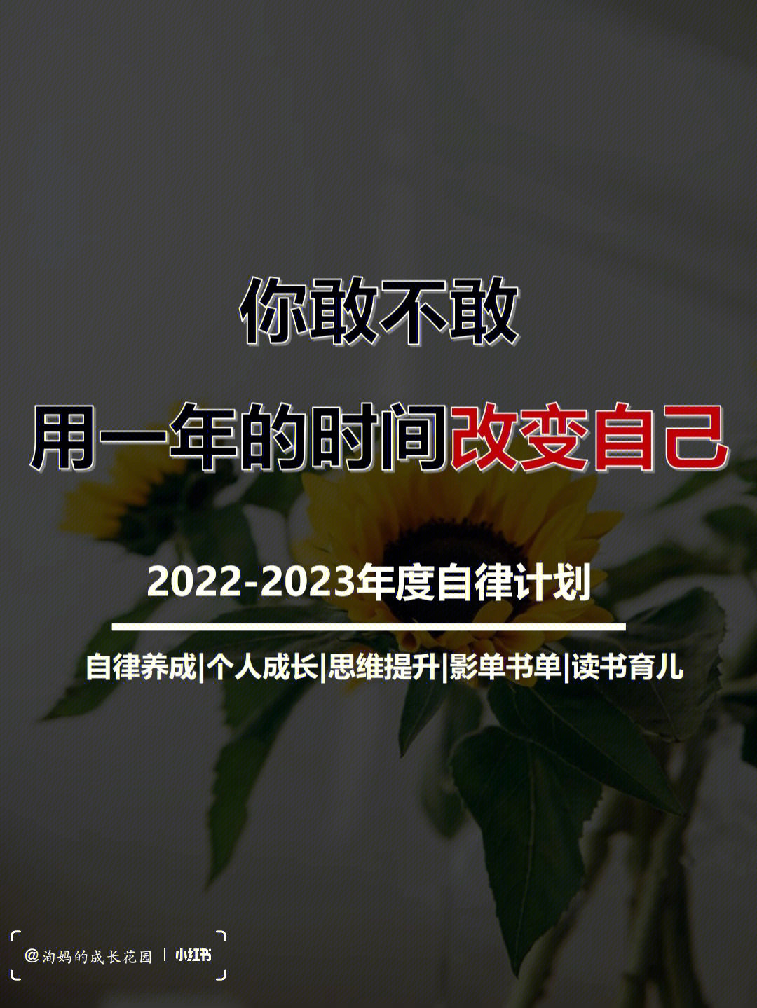 自律成长用一年的时间彻底改变自己