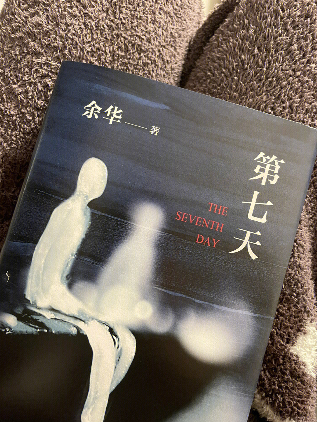 一改往日写作的风格《第七天》是我读余华的第四本书之前看完《活着》