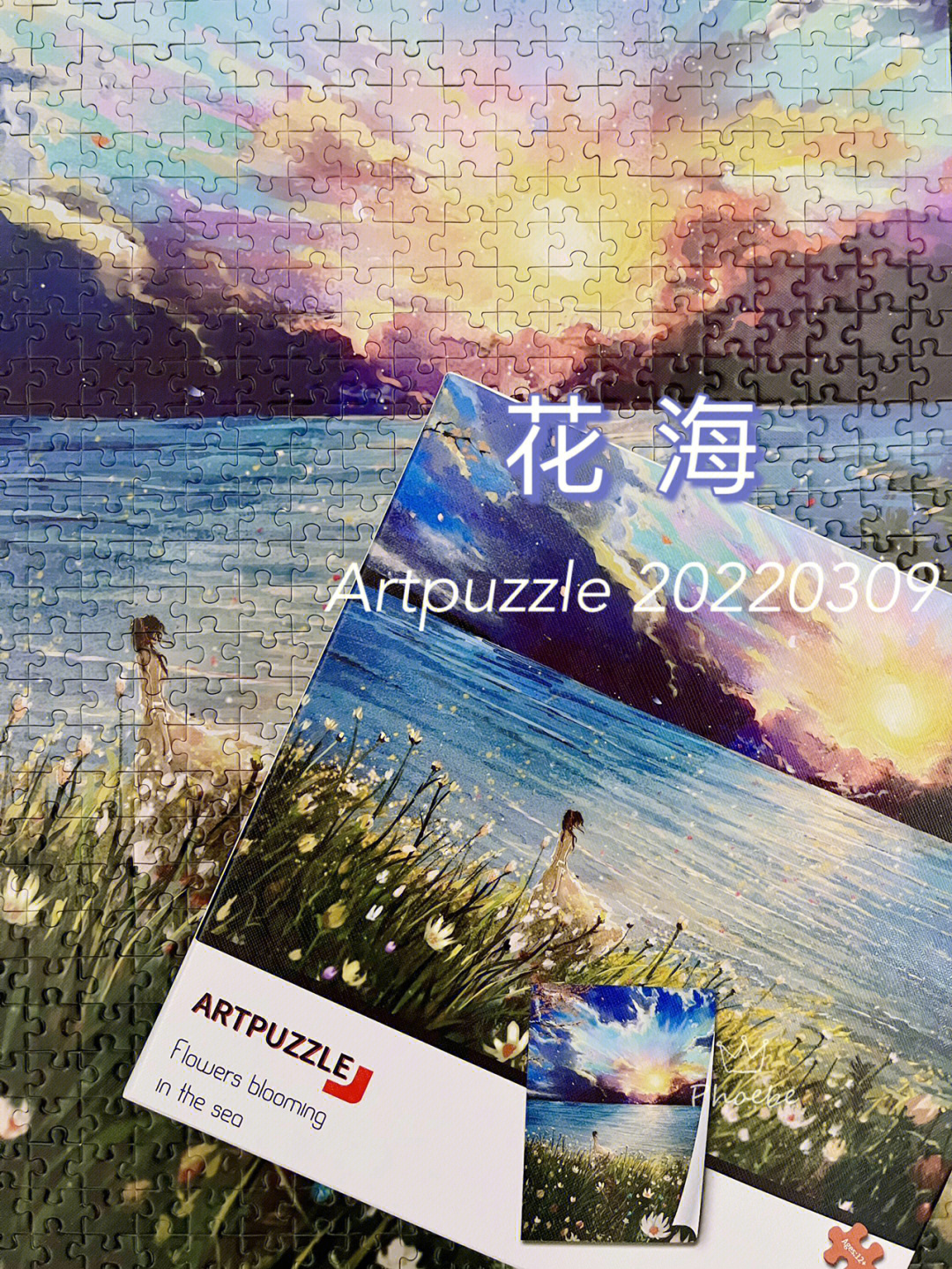 3dpuzzle拼图步骤图片