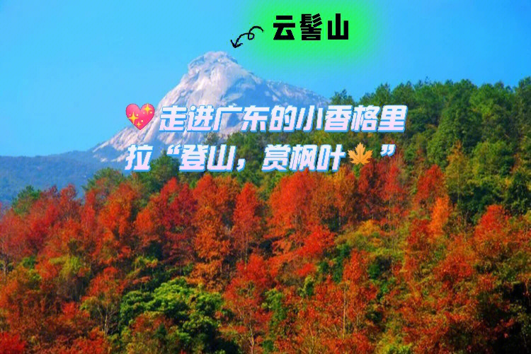 走进广东的小香格里拉云髻山赏枫叶