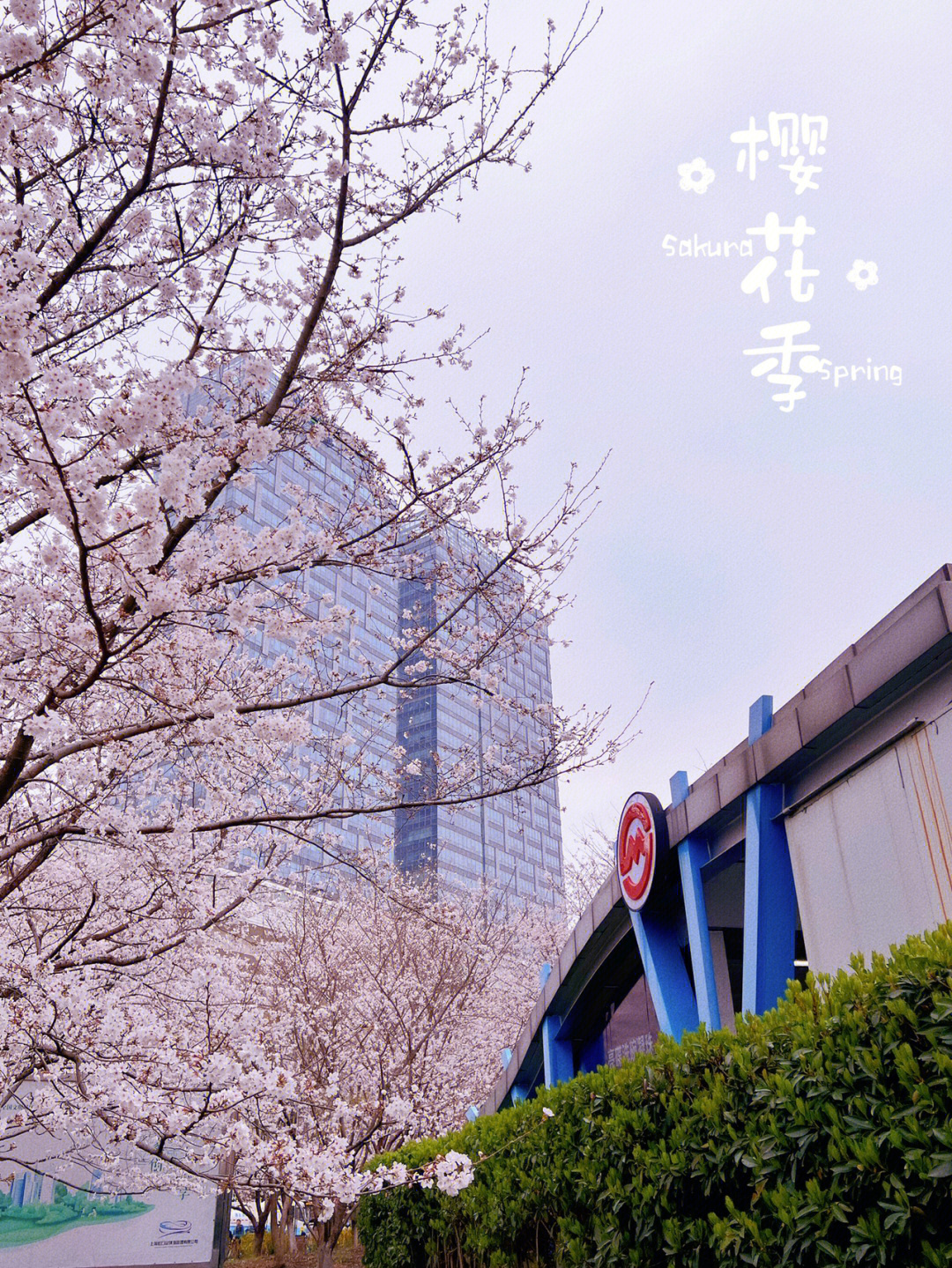 樱花公园地铁站图片