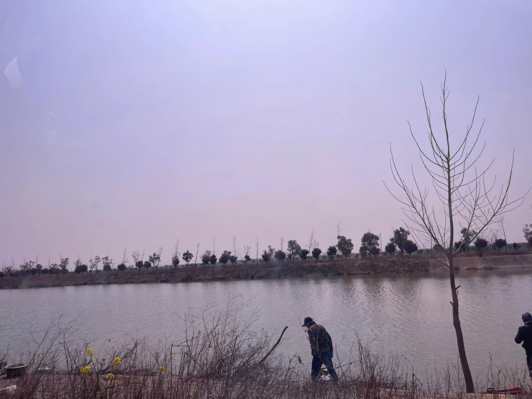 白马湖钓鱼图片