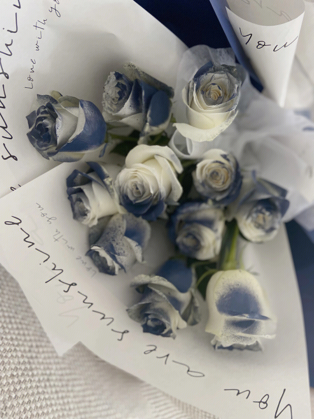 19朵马耳他蓝玫瑰图片