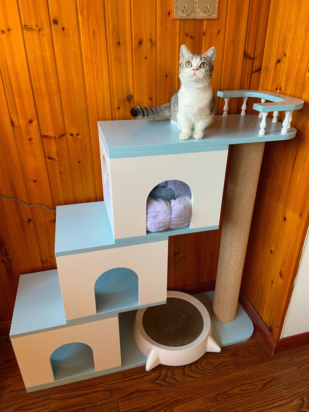 最简单的猫爬架diy纸箱图片