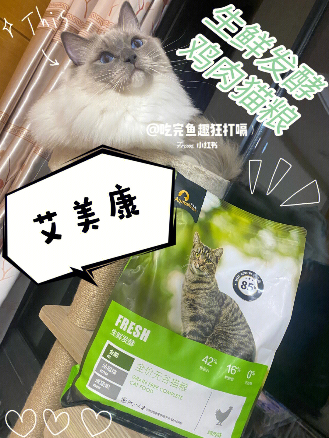 玻璃胃猫咪买它快买它