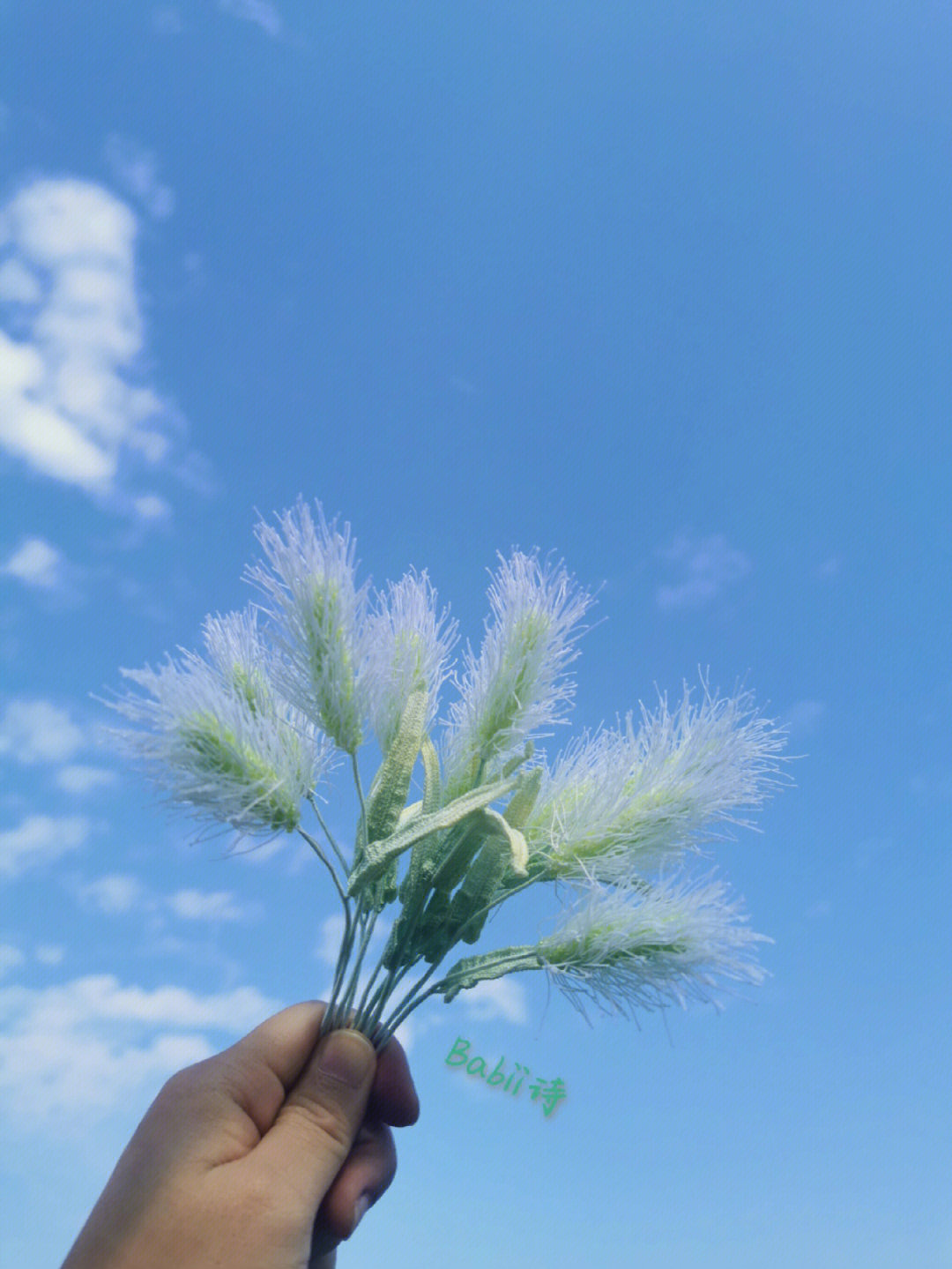 手拿狗尾巴草图片大全图片