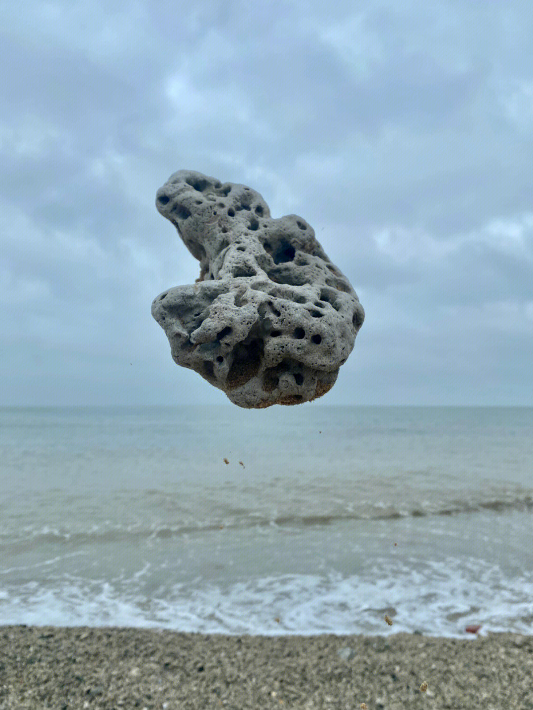海浮石,海螵蛸图片