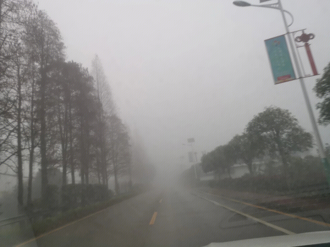 大雾天气表情包图片
