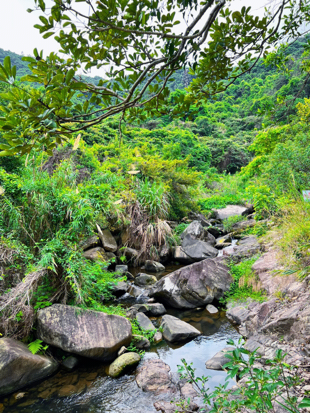 马峦山农家乐图片