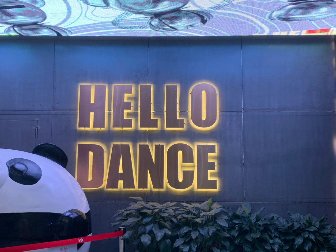 hellodance金大铭图片