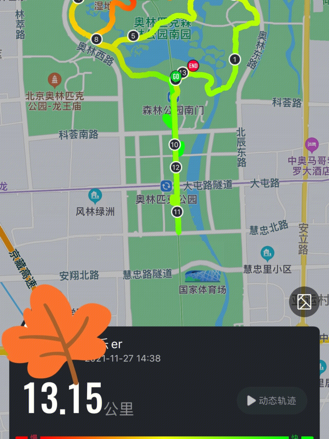 奥森观鸟路线图片