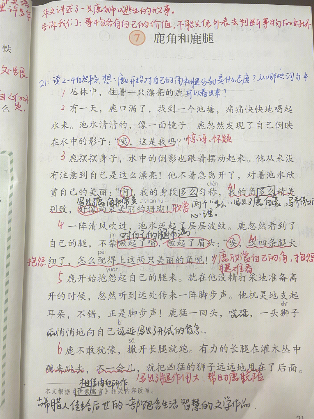 鹿角和鹿腿课文图片