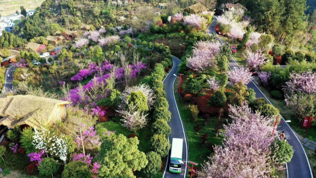 遵义开元芳草地图片