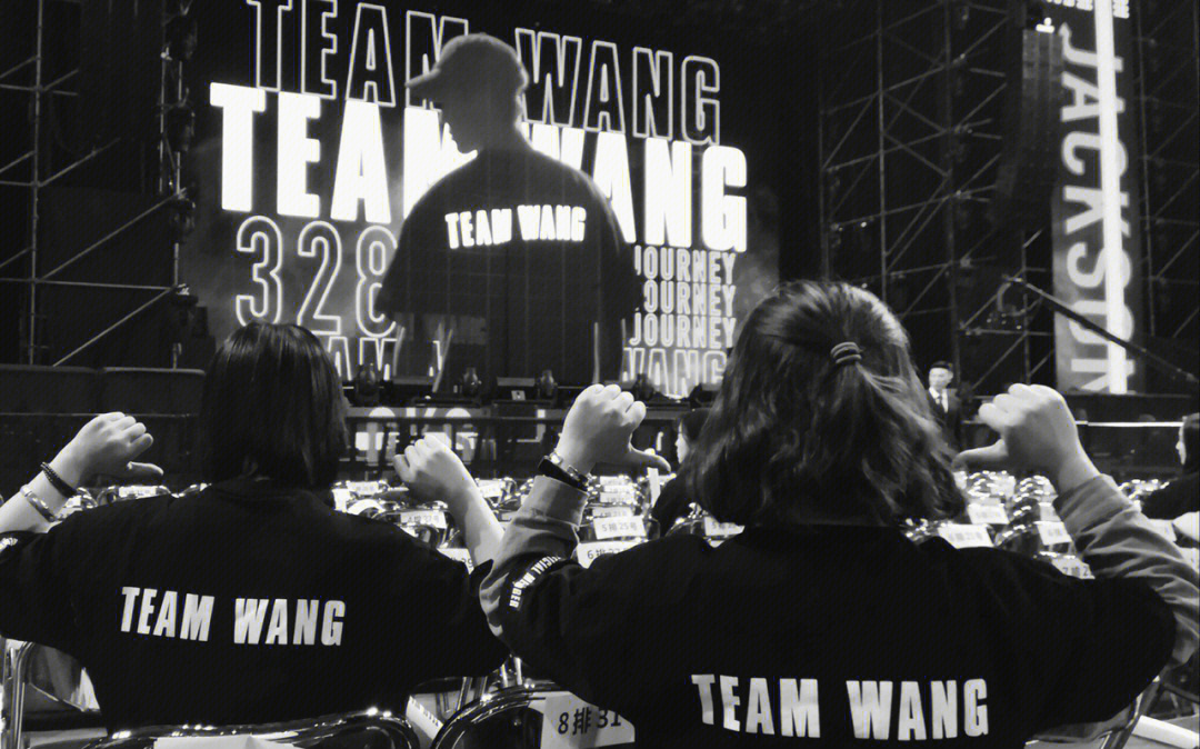 teamwang莫奈图片