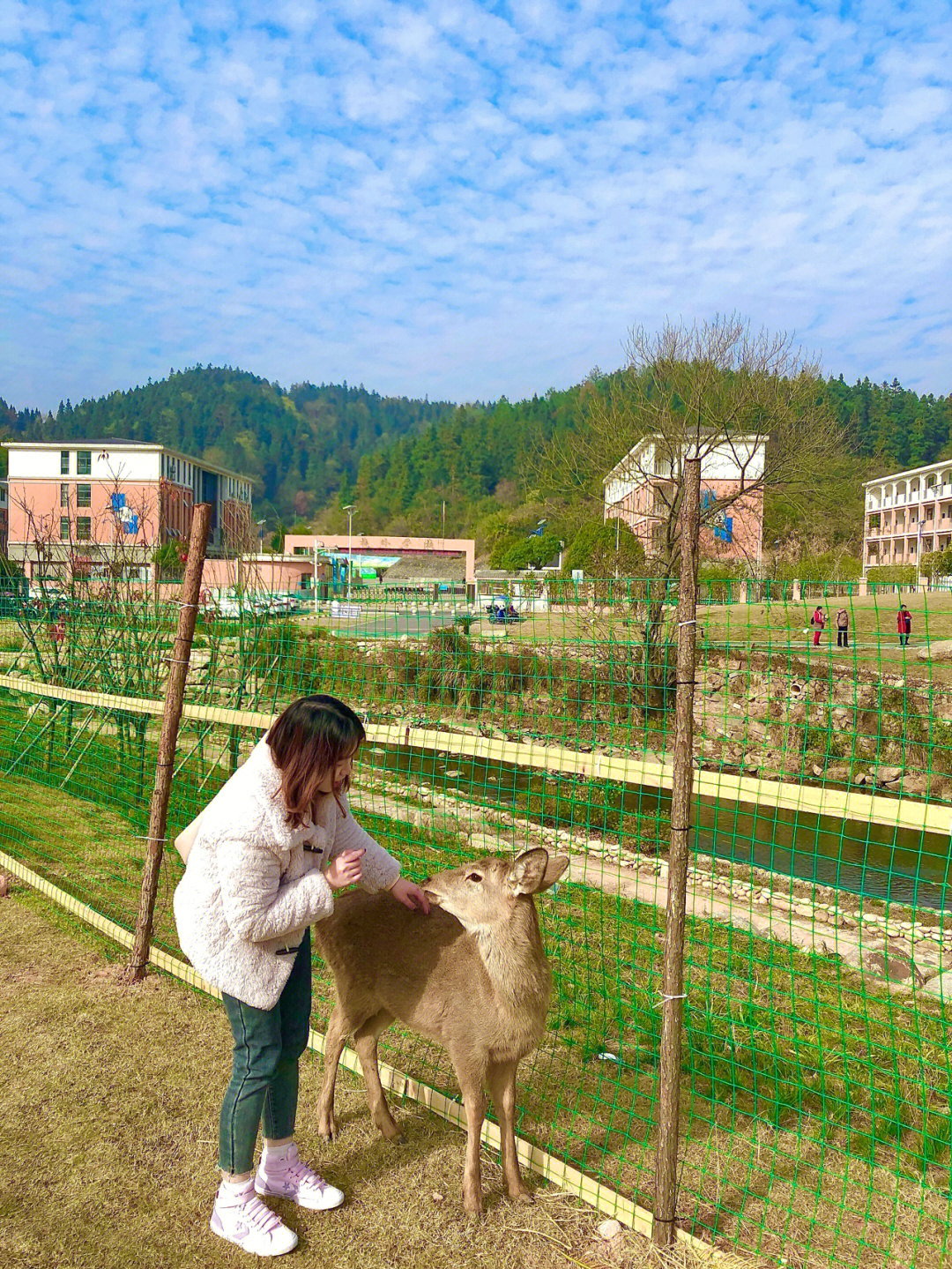 长兴岛鹿岛公园门票图片