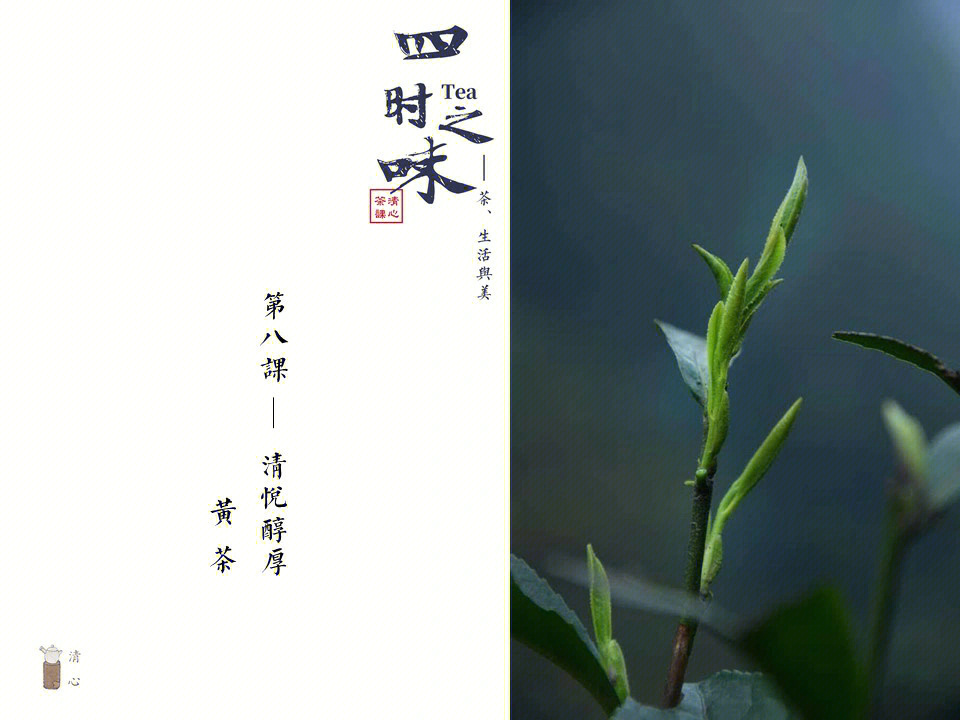 四时之味第八课清悦醇厚黄茶