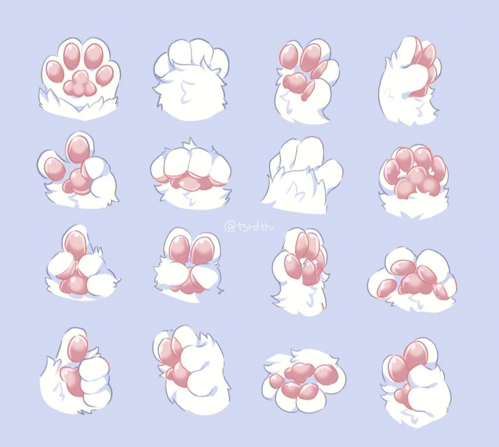 各种动物的爪子画法图片