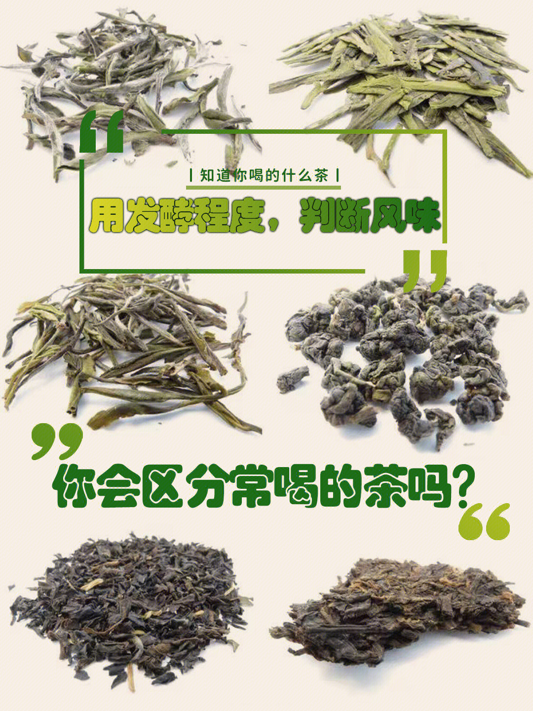 用发酵程度判断你喝的是什么茶