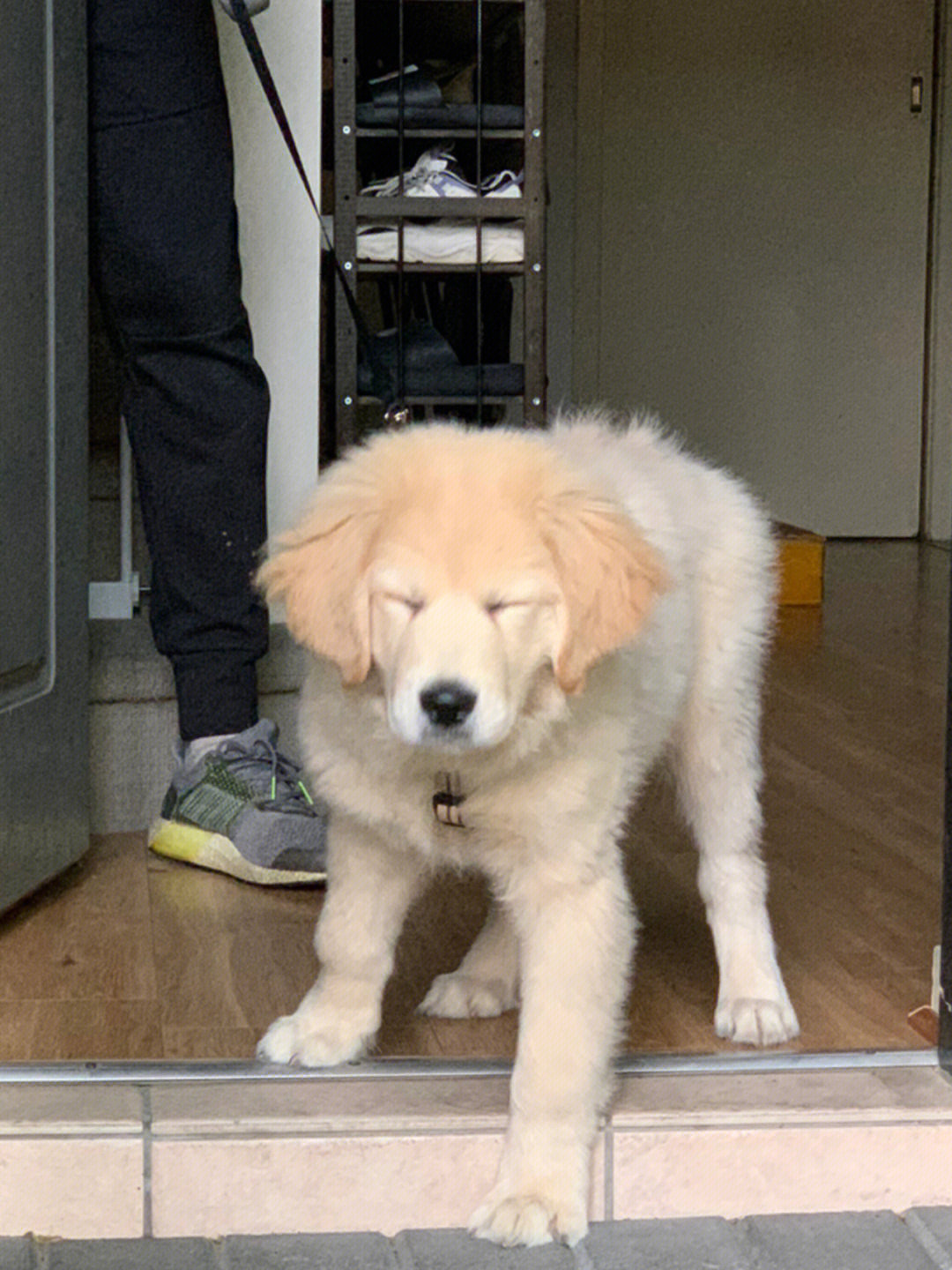 为什么永远这么搞笑闭眼合辑